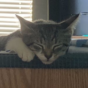 Meet your Posher, Maliyah